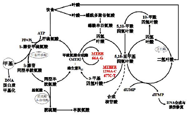 mg冰球突破·豪华版(试玩)官方网站
