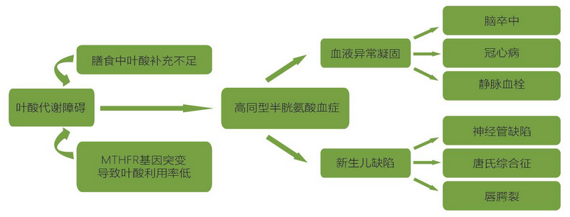 20200307235808425 mg冰球突破·豪华版(试玩)官方网站