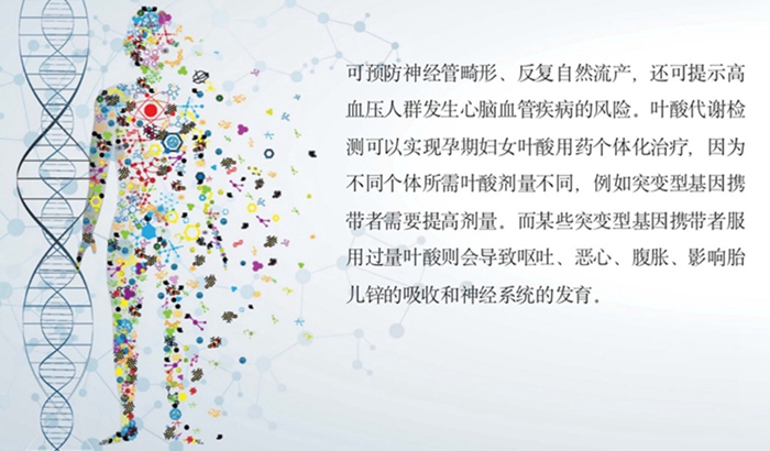 mg冰球突破·豪华版(试玩)官方网站