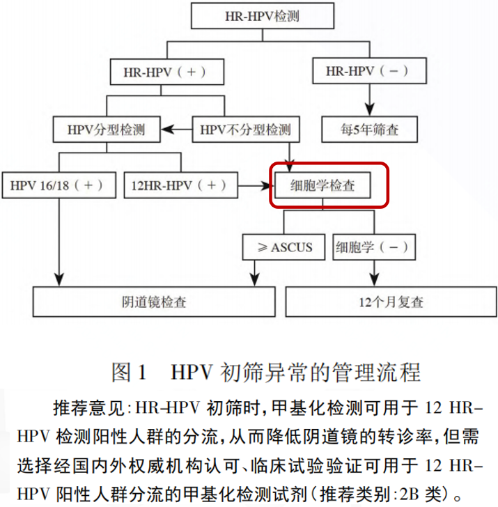 mg冰球突破·豪华版(试玩)官方网站